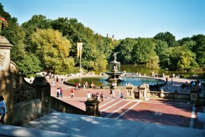 central_park2.jpg