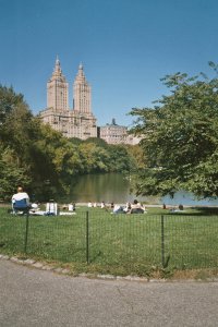 centralpark.jpg
