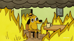 giphy-2.gif
