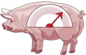 Porkometer-full.jpg
