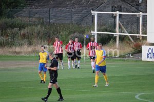 IMG_7417.jpg
