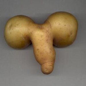 food-porn-potato-penis1.jpg