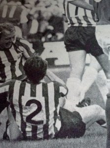 thumbnail_photo (3).jpg