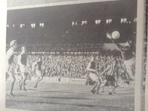 thumbnail_photo (4).jpg