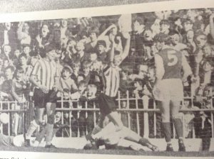 thumbnail_photo (5).jpg