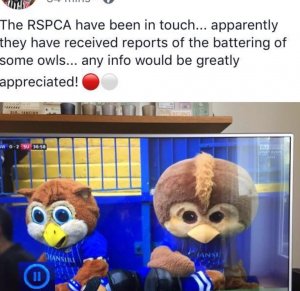 Screenshot_20170924-195102.jpg
