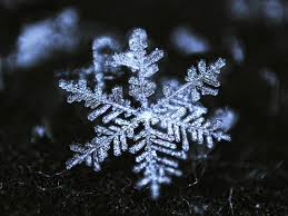 snow.png
