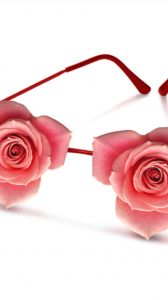 IMG_5696.PNG