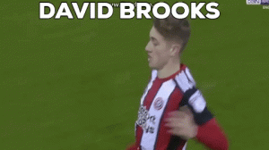 david brooks 1.gif