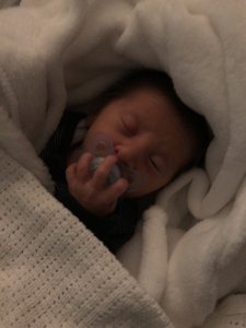 9887B0CE-1172-45F1-BE71-A5048B78441E.jpeg