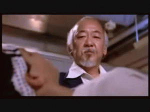 karate-kid-o.gif