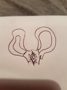 20171211_230038.jpg