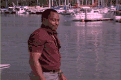 giphy-tumblr.gif