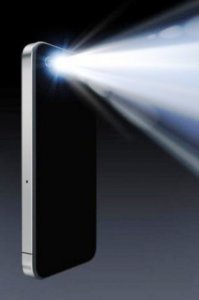 torch-light.2.jpg