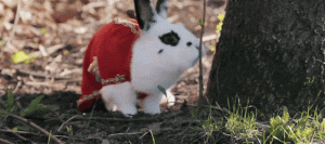 FC57BDCE-E559-41C8-A710-66EC57DB32E8.gif