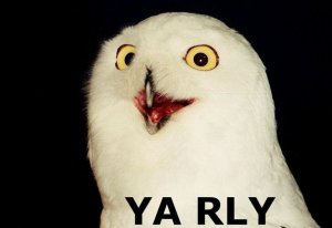 Yarly.jpg