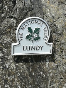 IMG_20170509_115450.jpg