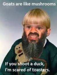 images (1).jpeg