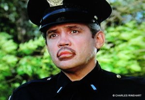 a51a8182d7c96292fbcedac0fa3f70bc--shoe-polish-police-academy.jpg