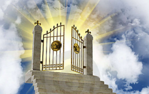 868F980F-0628-4E19-BB2F-36BBCD10002D.png