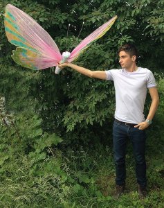 Butterflies.jpg