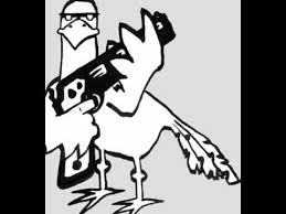 pigeon.jpg