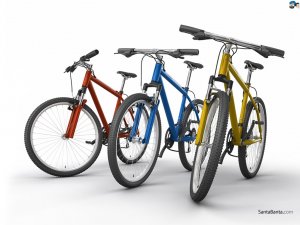 Bicycles-1.jpg