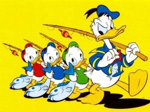 donald duck.jpg