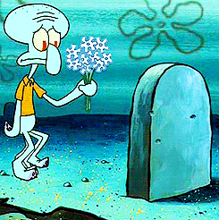 giphy (12).gif