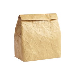 10065752ReusableTyvekPaperBag_600.jpg