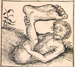 onefoot.jpg
