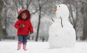 snow-pod-1262800342-custom-0.jpg snow-pod-1262800342-custom-0.jpg