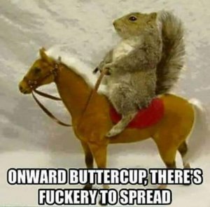FB_IMG_1515424772592.jpg