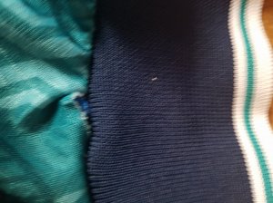 20180610_184727.jpg