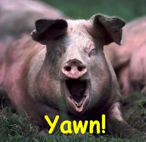 Yawn_Pig.jpg Yawn_Pig.jpg