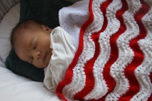IMG_1151.jpg