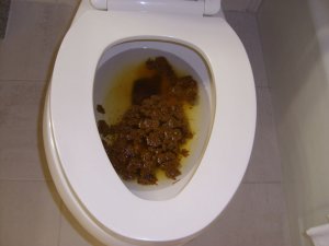 poo1.jpeg