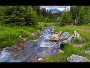 7719852A-2E49-495E-83D9-2762707000D9.jpeg