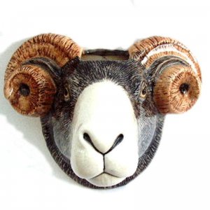 rams head.jpg