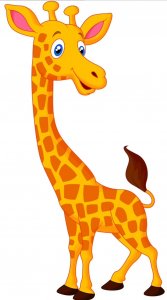 image.jpeg