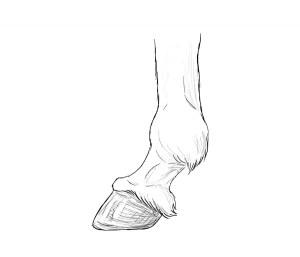 94D094C2-F094-44D8-AD36-4B2D94D34FE1.png