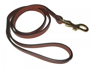 doglead.jpg doglead.jpg
