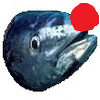 Tunny - Copy.png