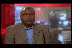 LoneWideeyedEastsiberianlaika-max-1mb.gif