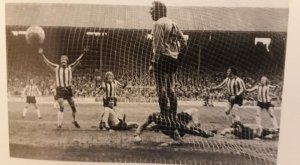 wolves 1975.jpg wolves 1975.jpg