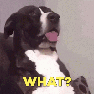 giphy.gif giphy.gif