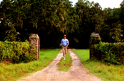 giphy (3).gif