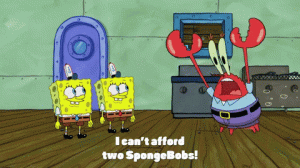 SfjP.gif SfjP.gif