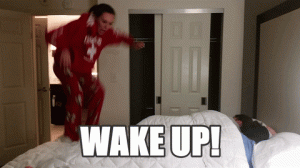 giphy-1.gif giphy-1.gif