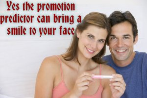 predictor 1.jpg